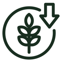 Vegetable