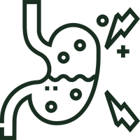 Vegetable